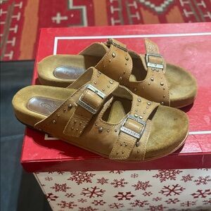 Freebird Brown Buckle Sandals with Studs